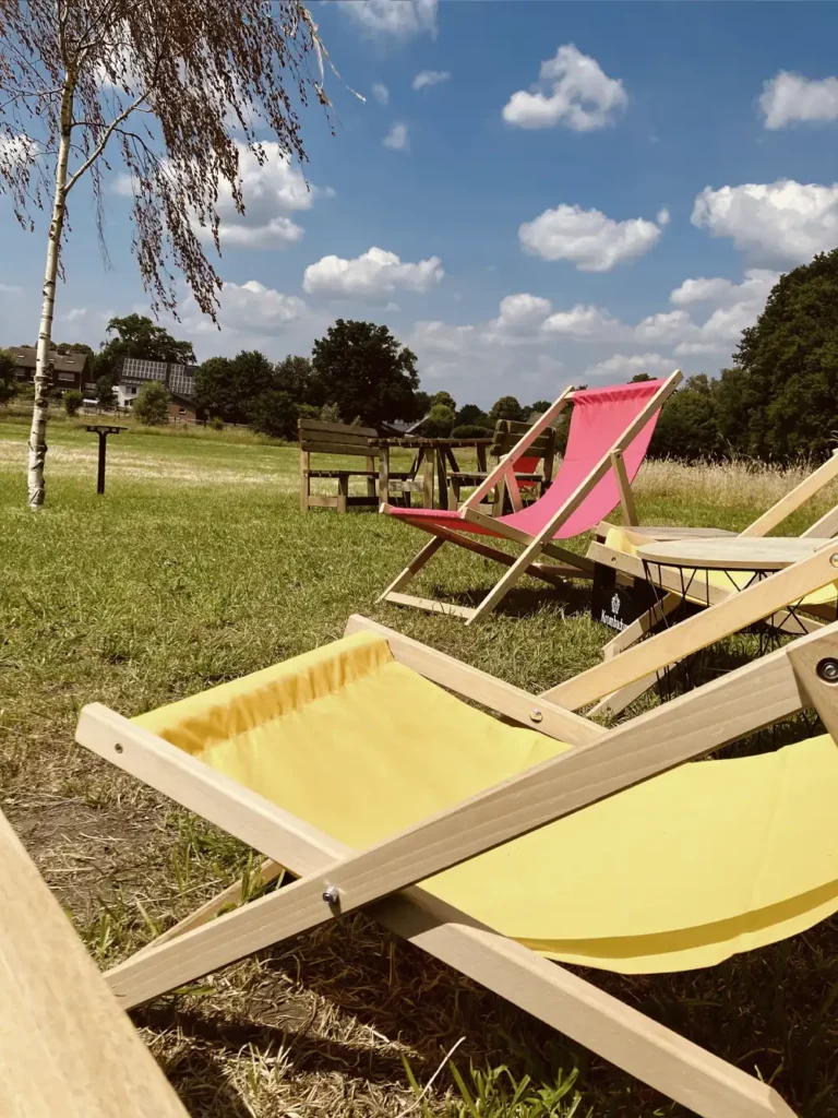 Bunte Sonnenliegen auf einer grünen Wiese unter blauem Himmel.